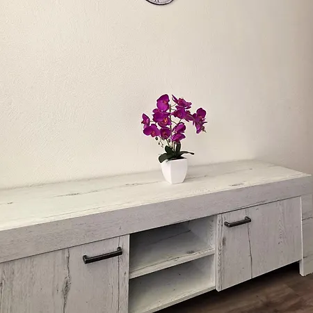 D'rock Arosa-nightlife Lodge-adults Only Arosa