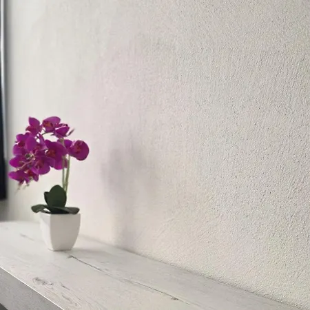 D'rock Arosa-nightlife Lodge-adults Only *