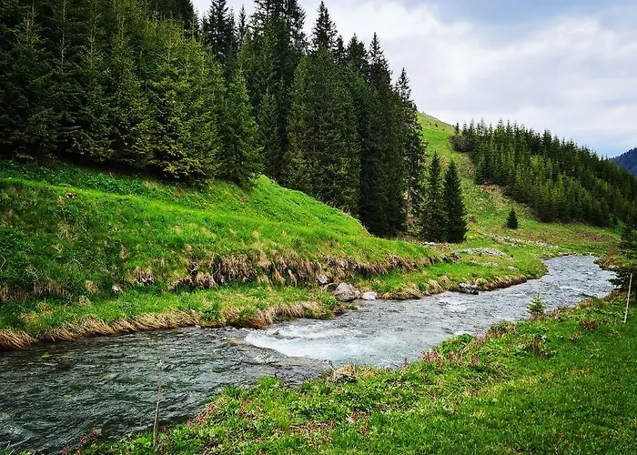 D'rock Arosa-nightlife Lodge-adults Only *