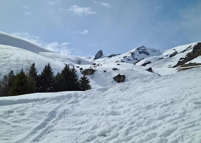 D'rock Arosa-nightlife Lodge-adults Only